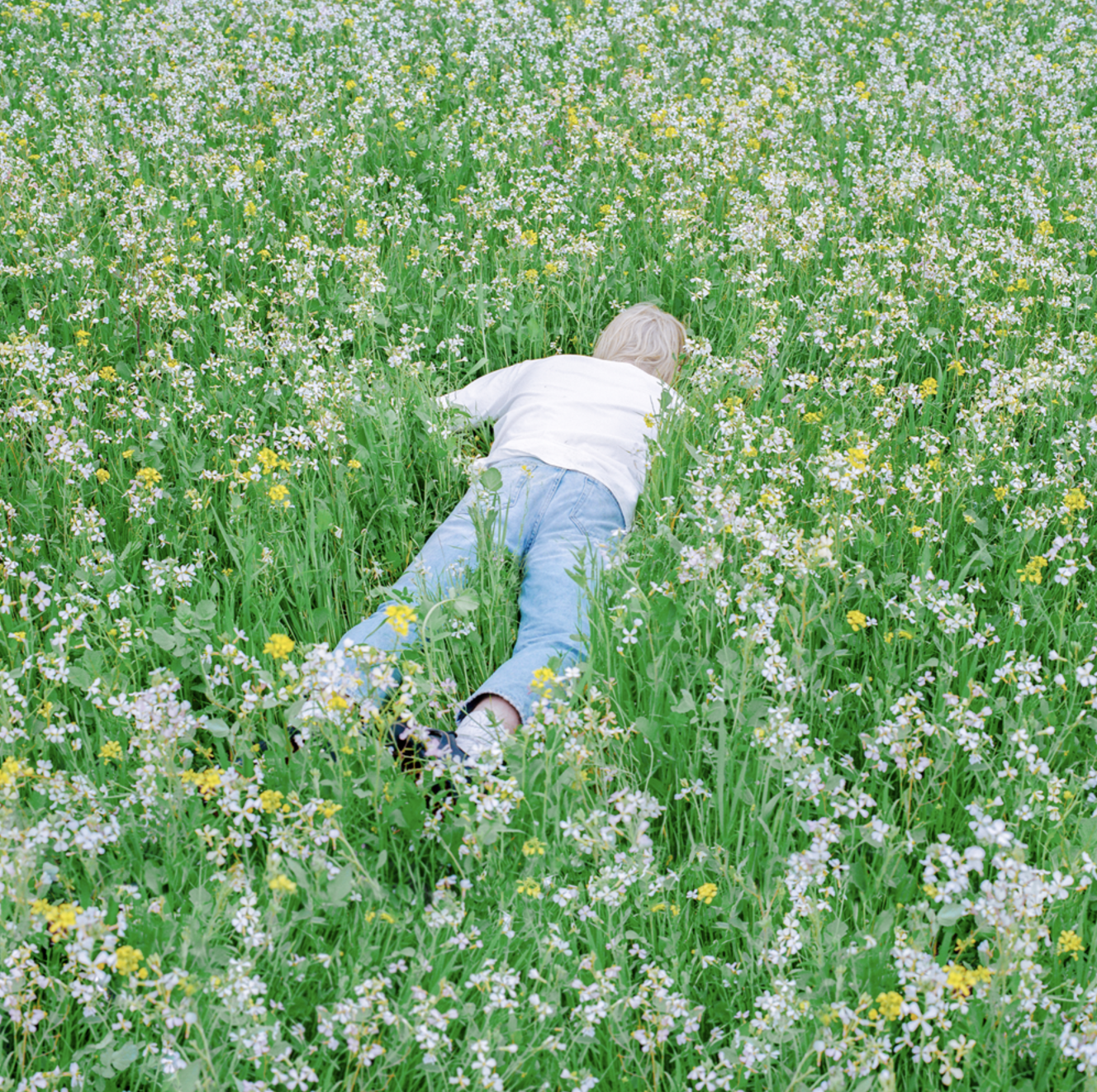 "Nurture" album cover person laying in green field