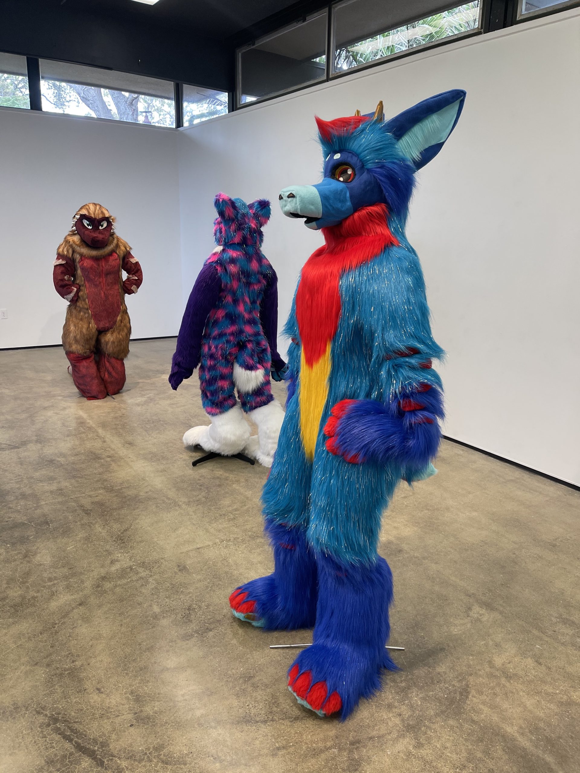 Fursuit Frenzy in the Art Gallery – The Point