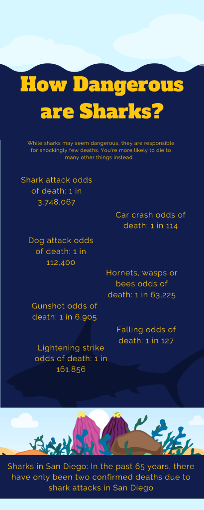 Shark Attack Infographics: Why you don't need to be afraid of sharks.