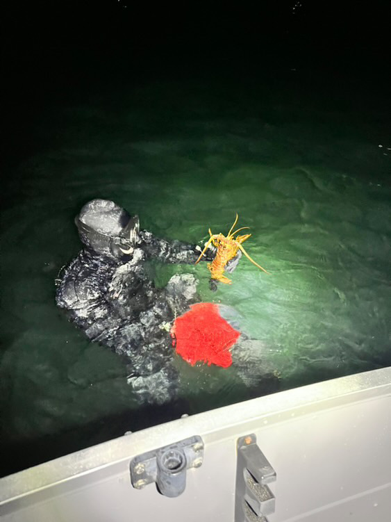 Spencer Horwath catches a lobster on Feb. 11. Photo credit to Adam Grubb.